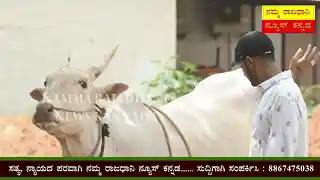 ಹಳ್ಳಿಕಾರ್ ವರ್ತೂರು ಸಂತೋಷ ಭಾವಿ ಎಂಎಲ್‍ಎ!? HALLIKAR VARTHURU SANTHOSH Bhavi MLA!?